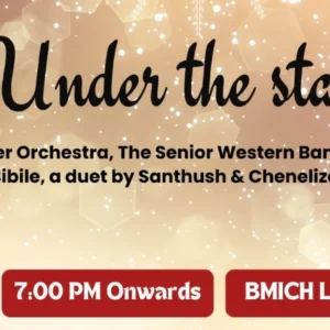Christmas Under The Stars